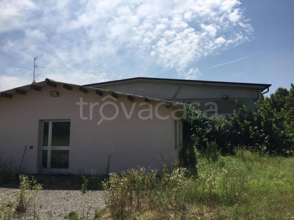 immagine annuncio 1 di 11