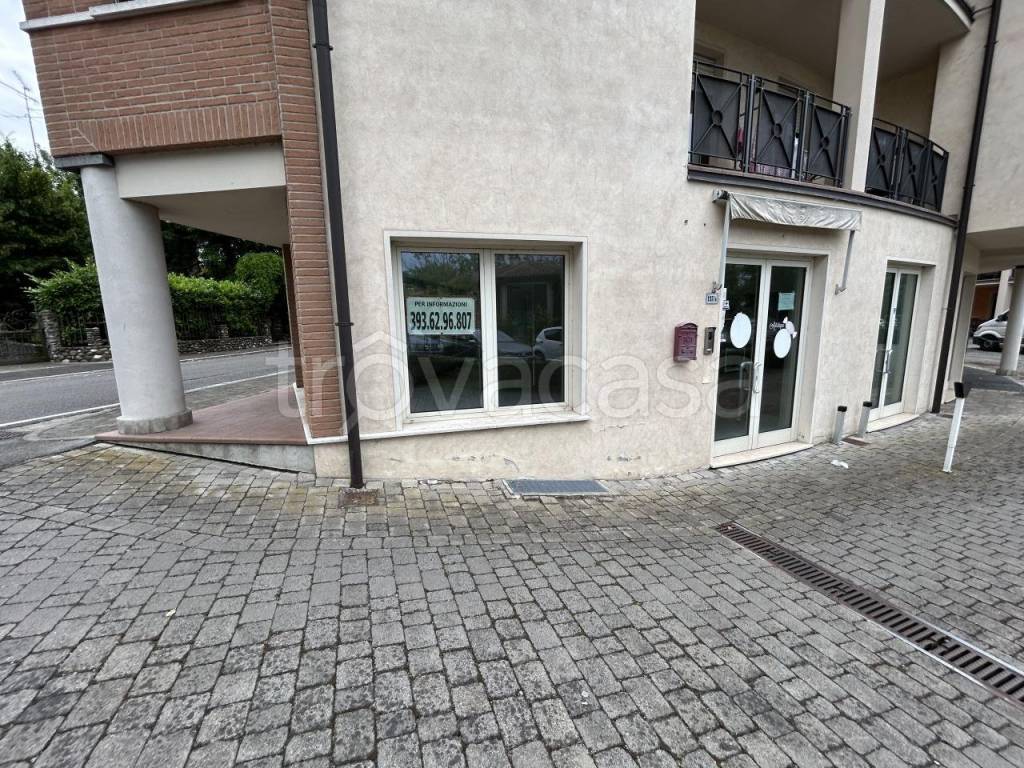 immagine annuncio 1 di 14