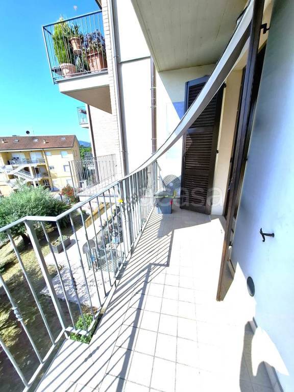 immagine annuncio 9 di 14