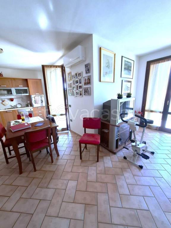 immagine annuncio 10 di 14
