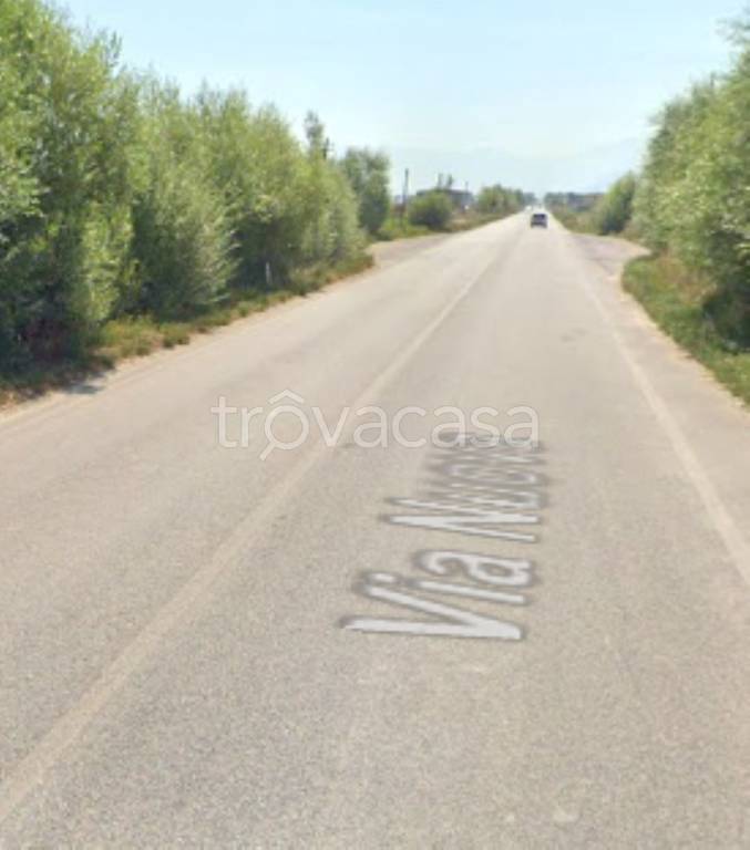 immagine annuncio 4 di 11
