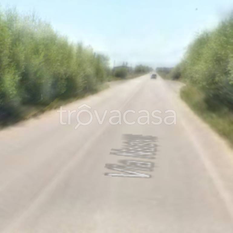 immagine annuncio 6 di 11