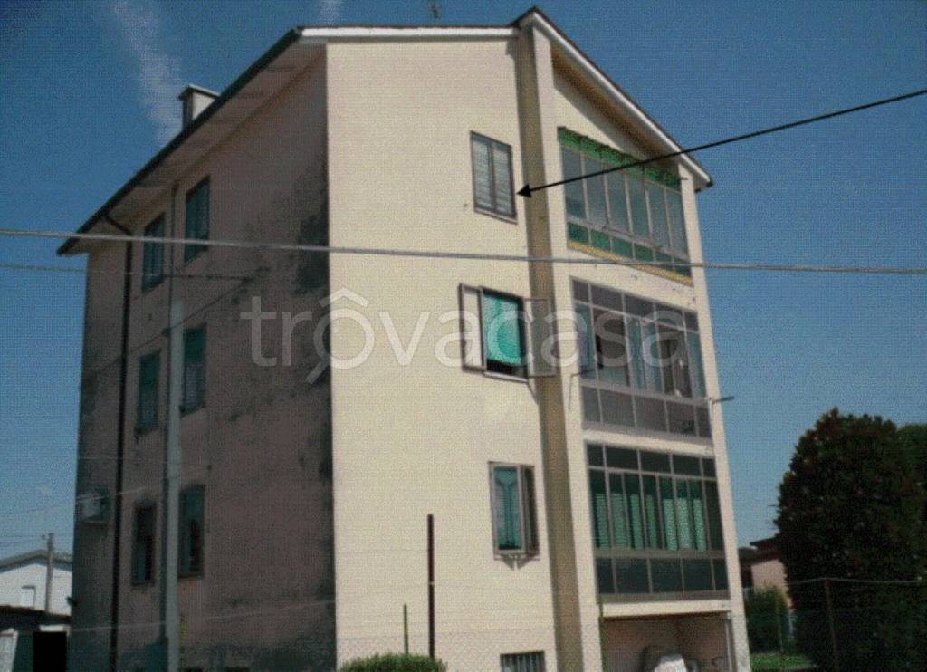 immagine annuncio 11 di 14