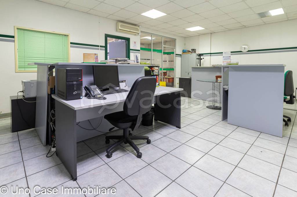 immagine annuncio 11 di 15