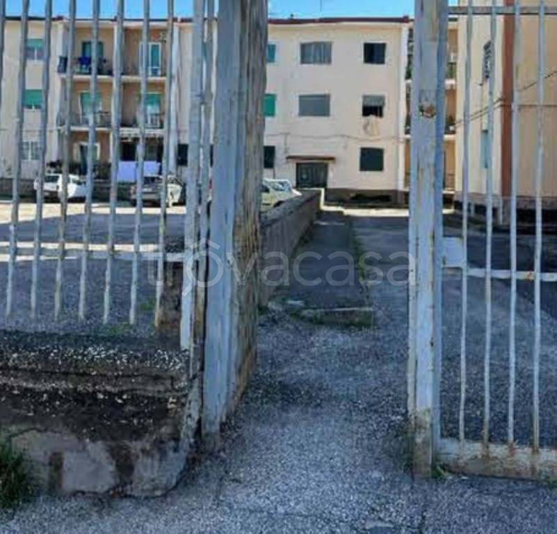 immagine annuncio 9 di 11