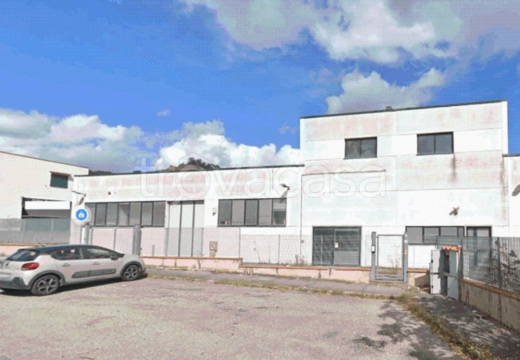 immagine annuncio 1 di 14