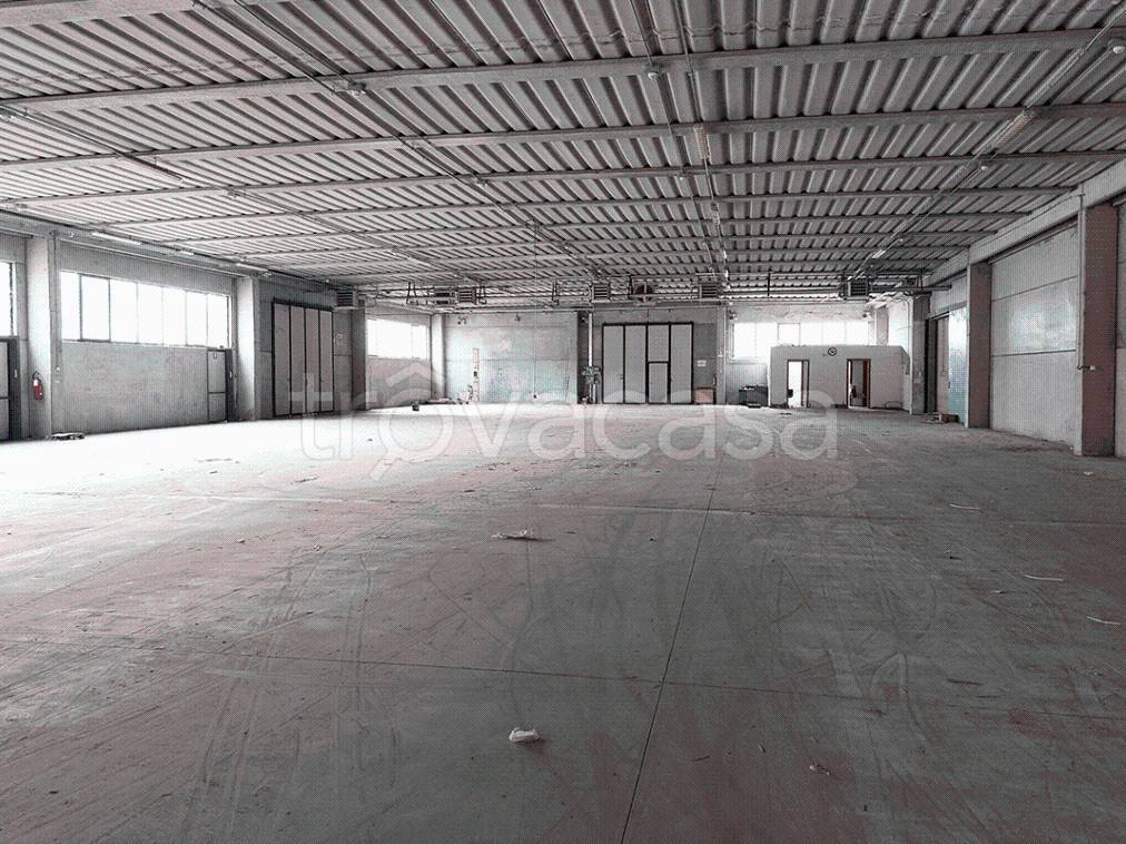 immagine annuncio 6 di 14