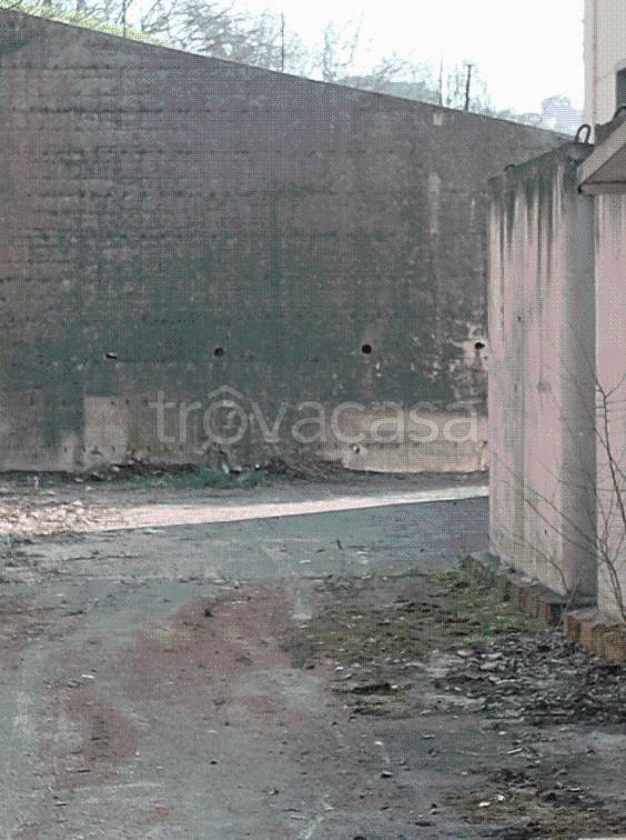 immagine annuncio 7 di 14