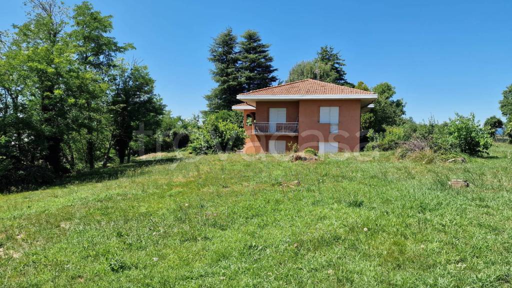 immagine annuncio 6 di 11