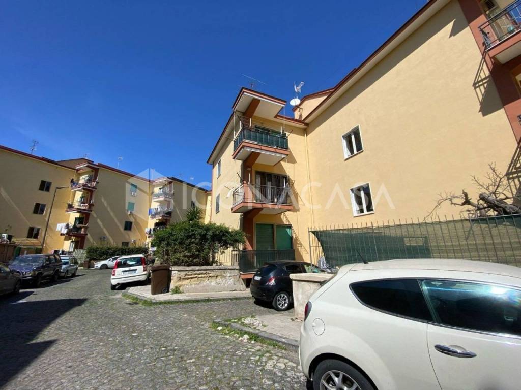 immagine annuncio 10 di 11