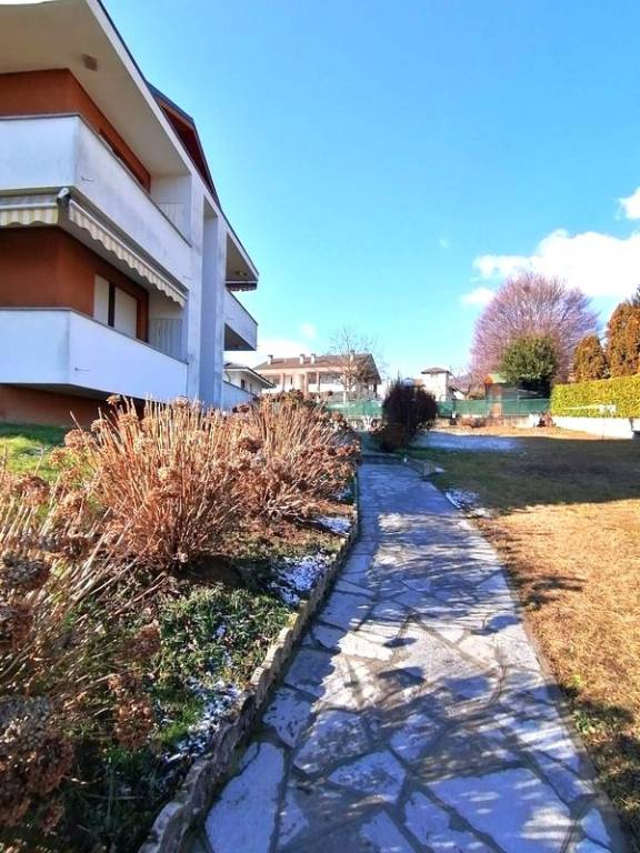immagine annuncio 3 di 11