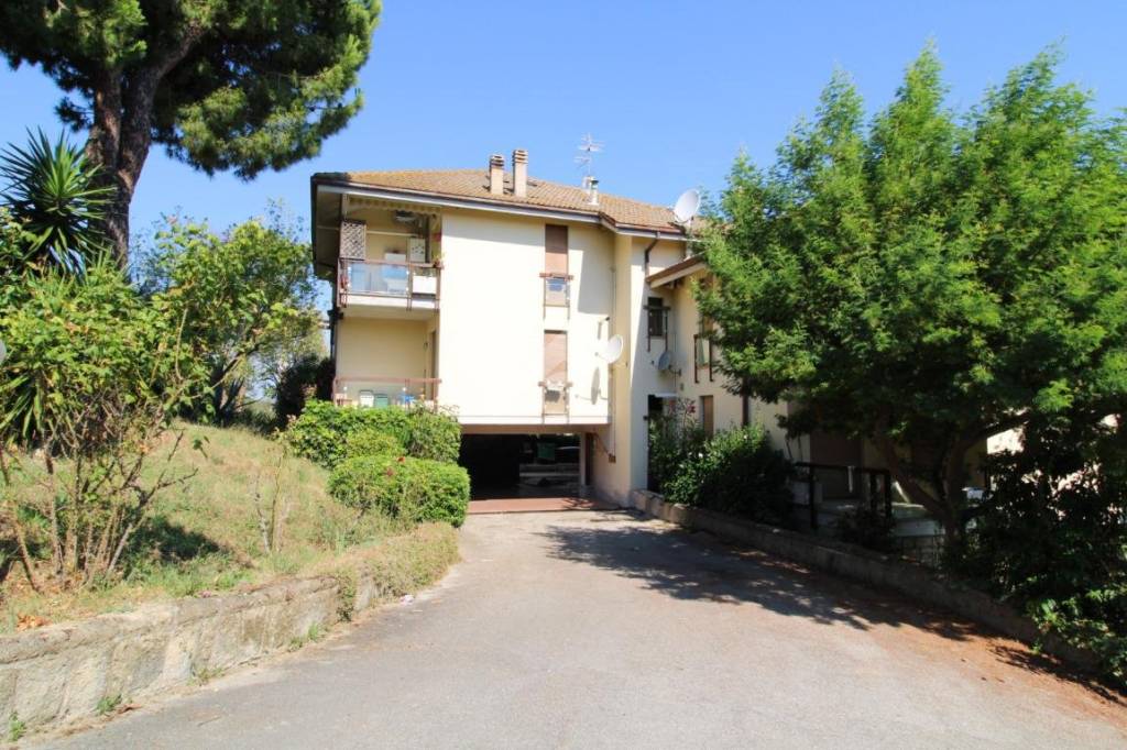 immagine annuncio 10 di 11