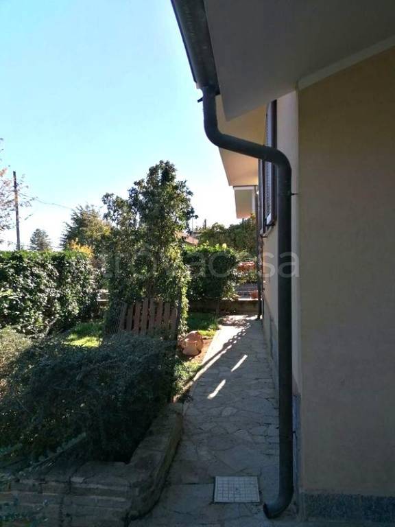 immagine annuncio 3 di 14