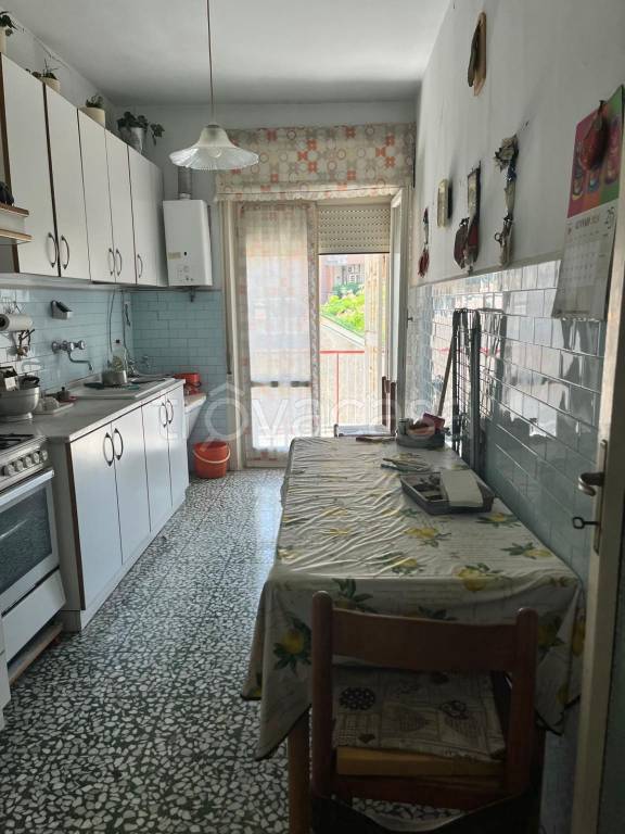 immagine annuncio 6 di 14
