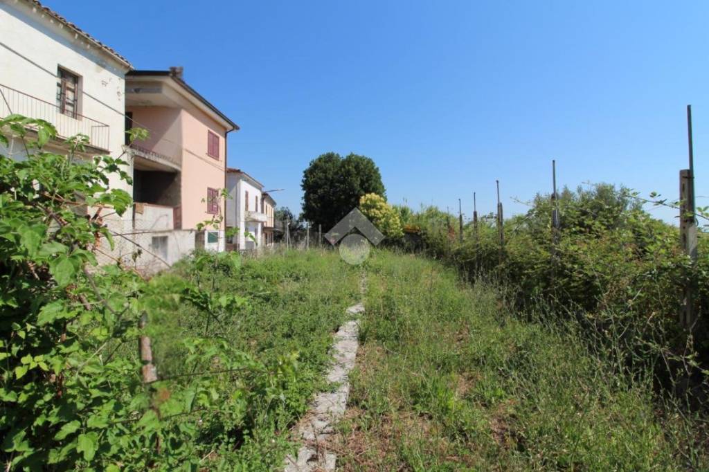 immagine annuncio 7 di 11
