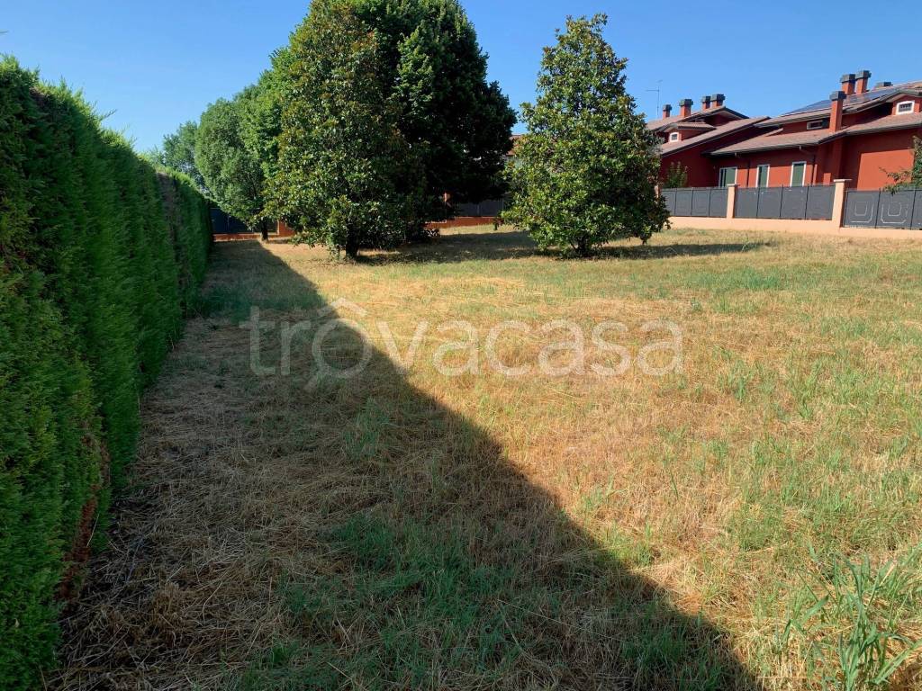 immagine annuncio 2 di 8