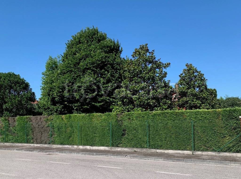 immagine annuncio 1 di 8