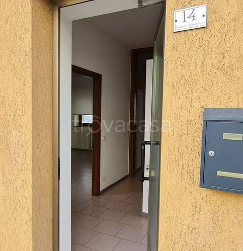immagine annuncio 4 di 12