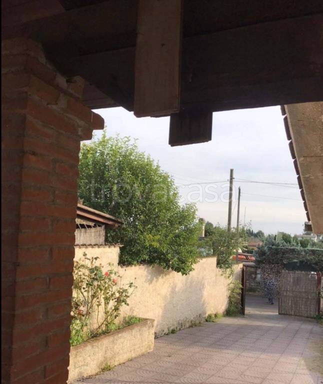 immagine annuncio 5 di 11
