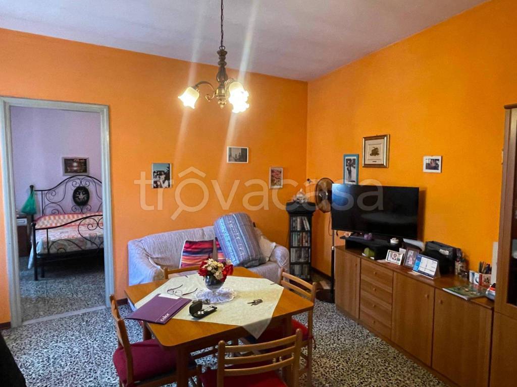 immagine annuncio 8 di 14