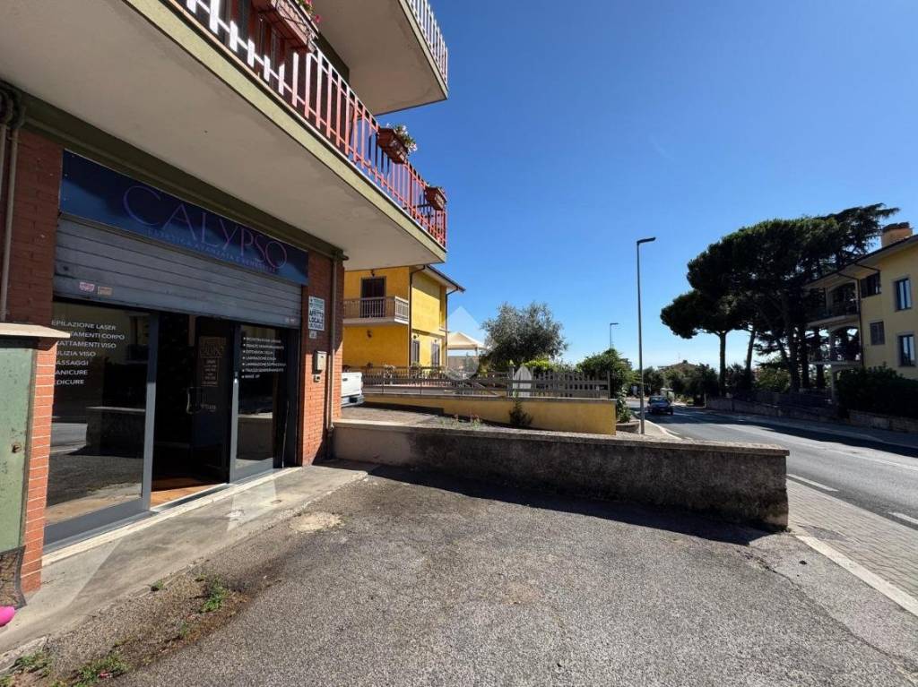 immagine annuncio 13 di 14