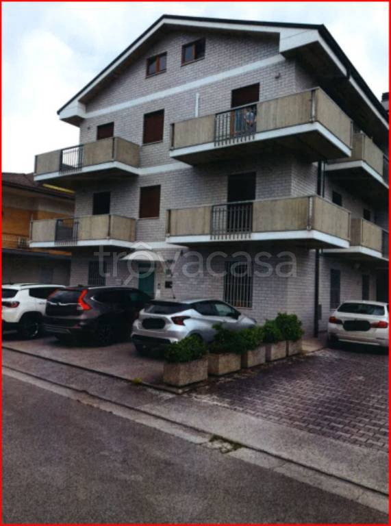 immagine annuncio 2 di 12