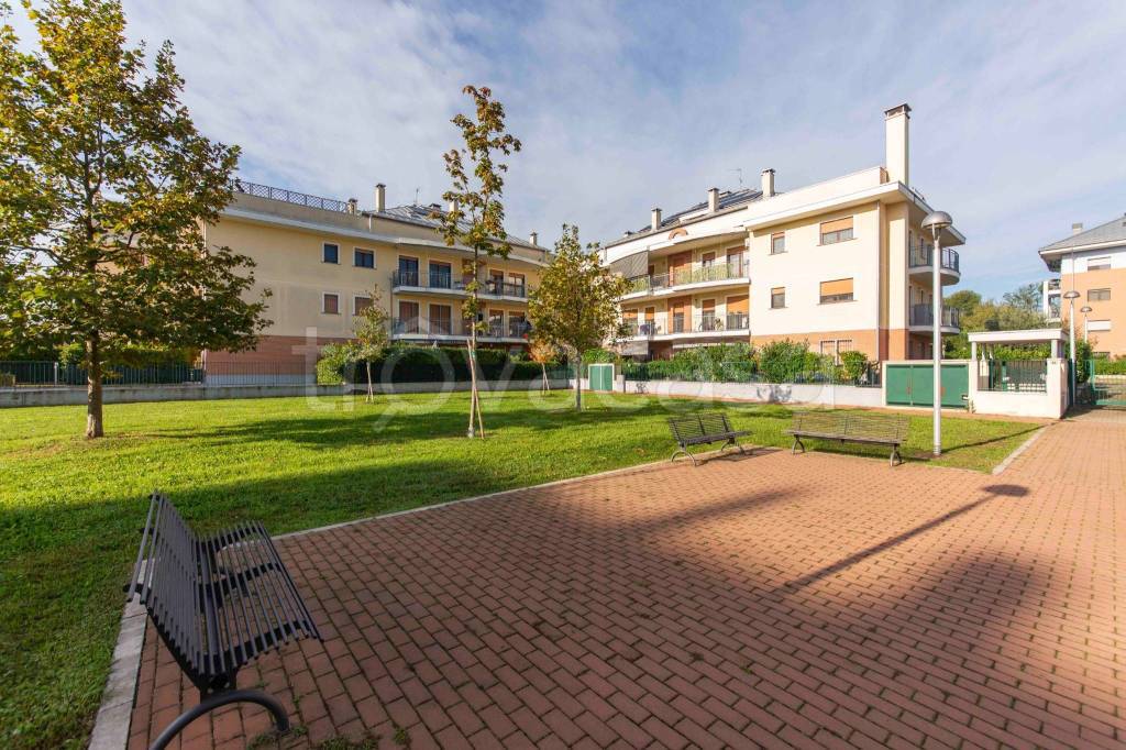 immagine annuncio 13 di 15