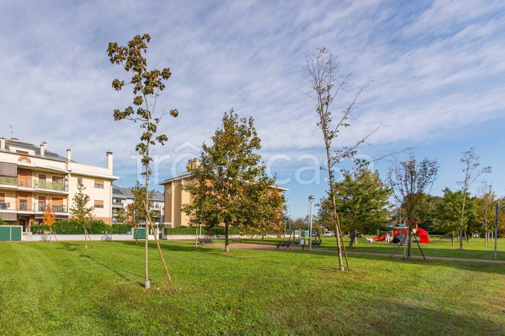 immagine annuncio 12 di 15