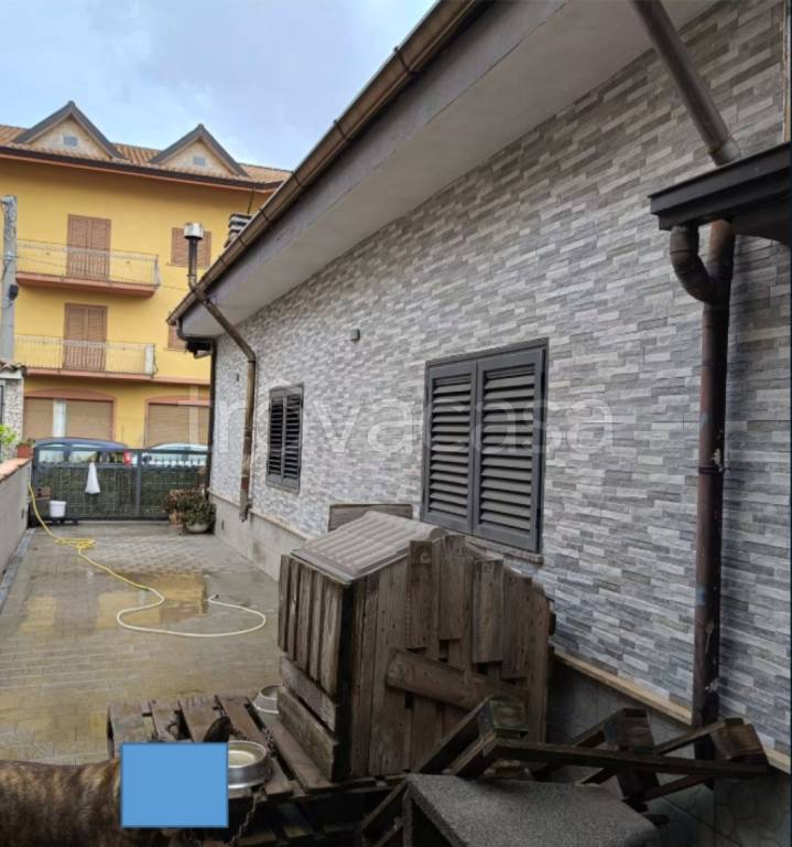 immagine annuncio 5 di 12