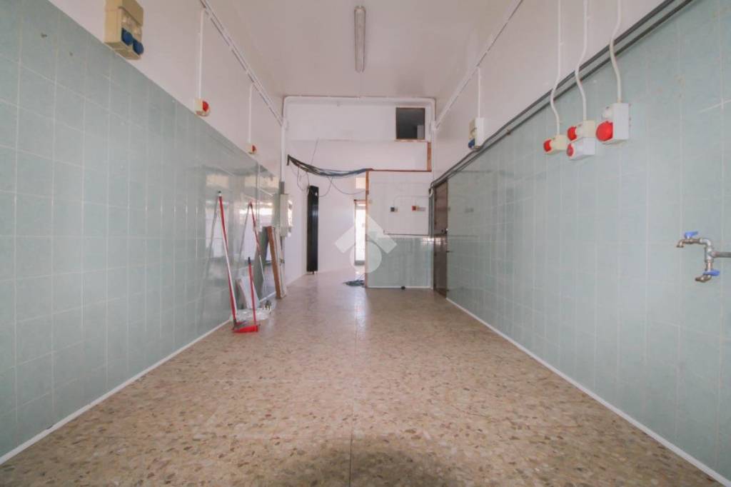 immagine annuncio 10 di 14