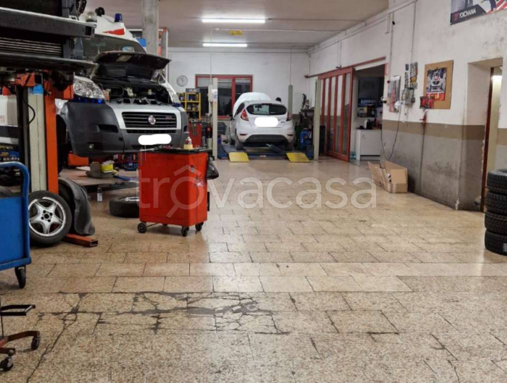 immagine annuncio 6 di 11