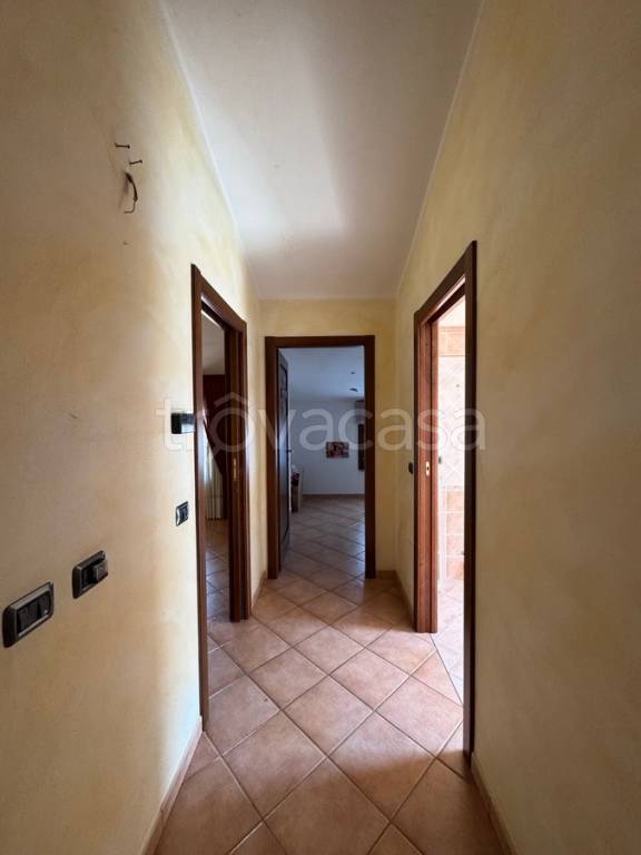 immagine annuncio 8 di 14