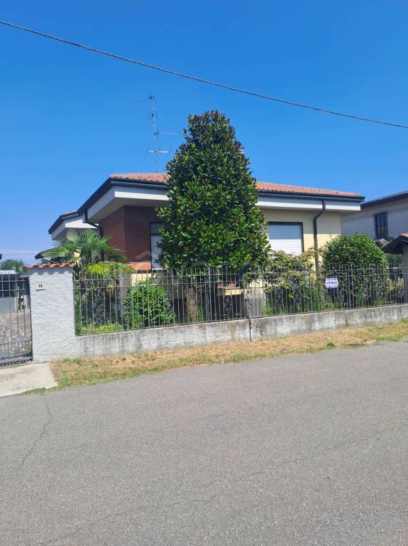immagine annuncio 3 di 15