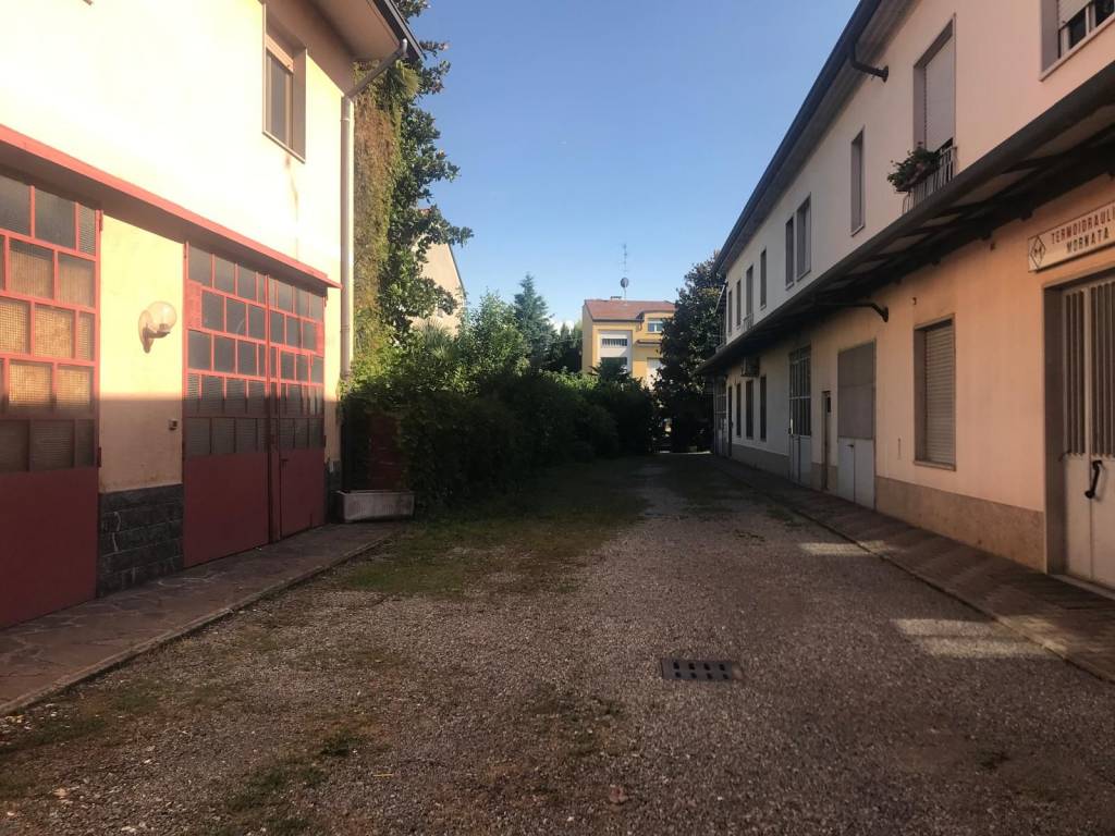 immagine annuncio 5 di 15