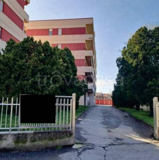 immagine annuncio 4 di 12