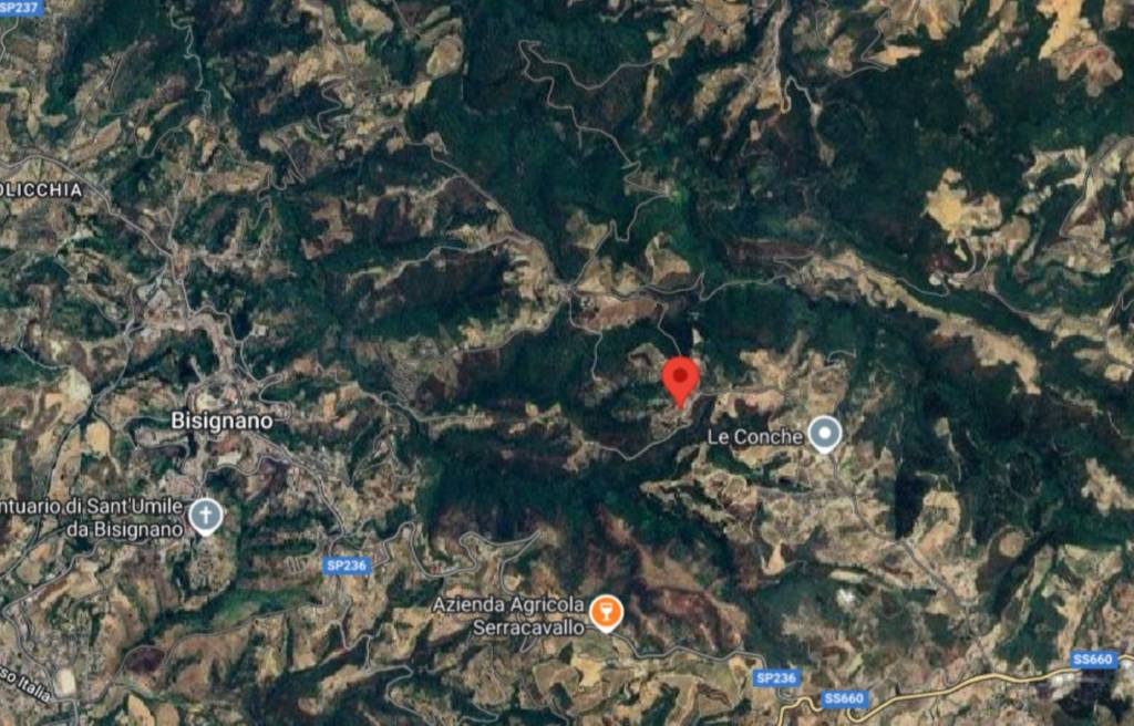 immagine annuncio 7 di 12