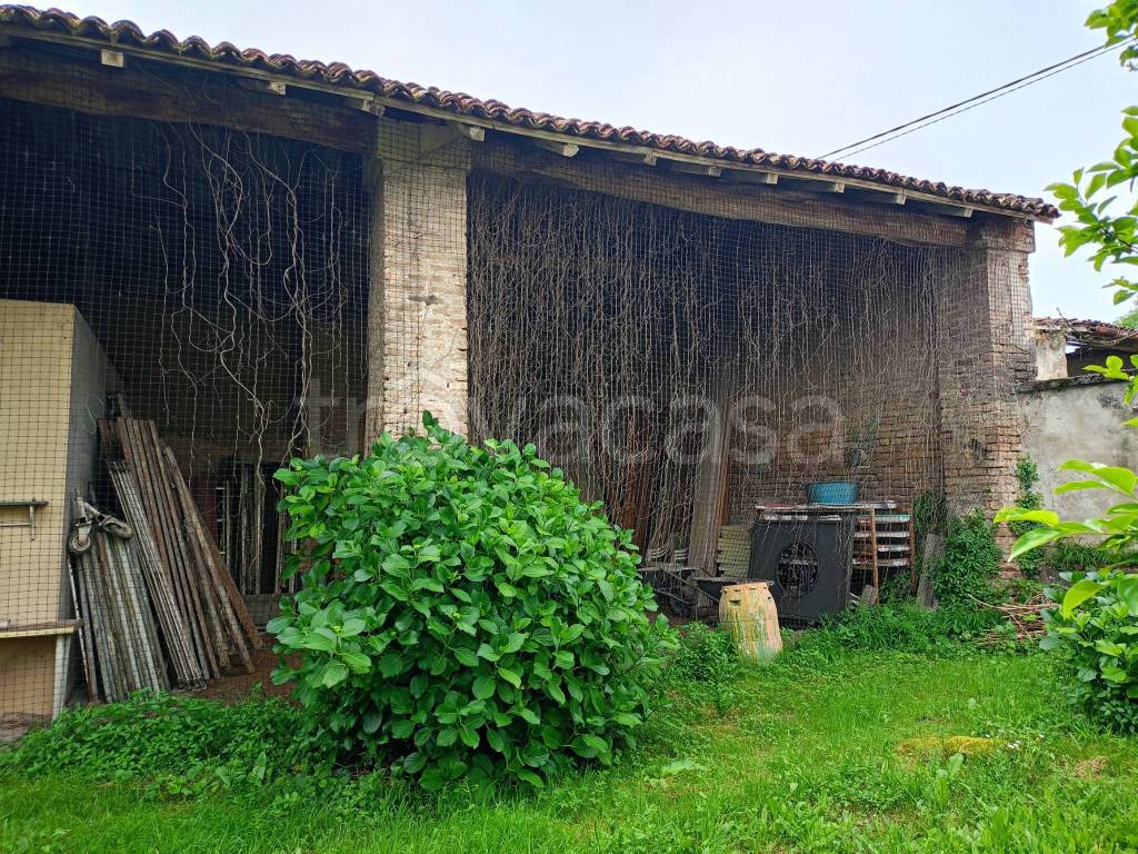 immagine annuncio 10 di 15