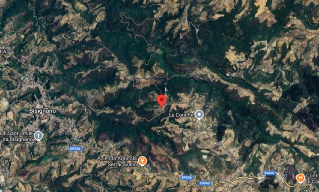immagine annuncio 11 di 12
