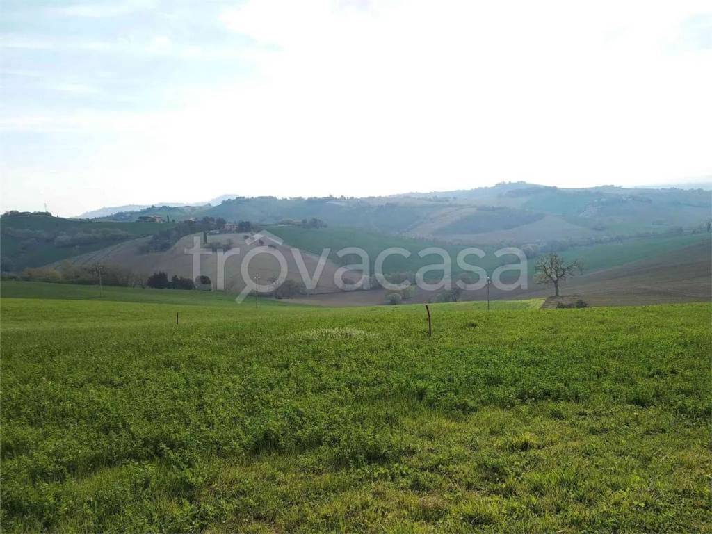immagine annuncio 4 di 6