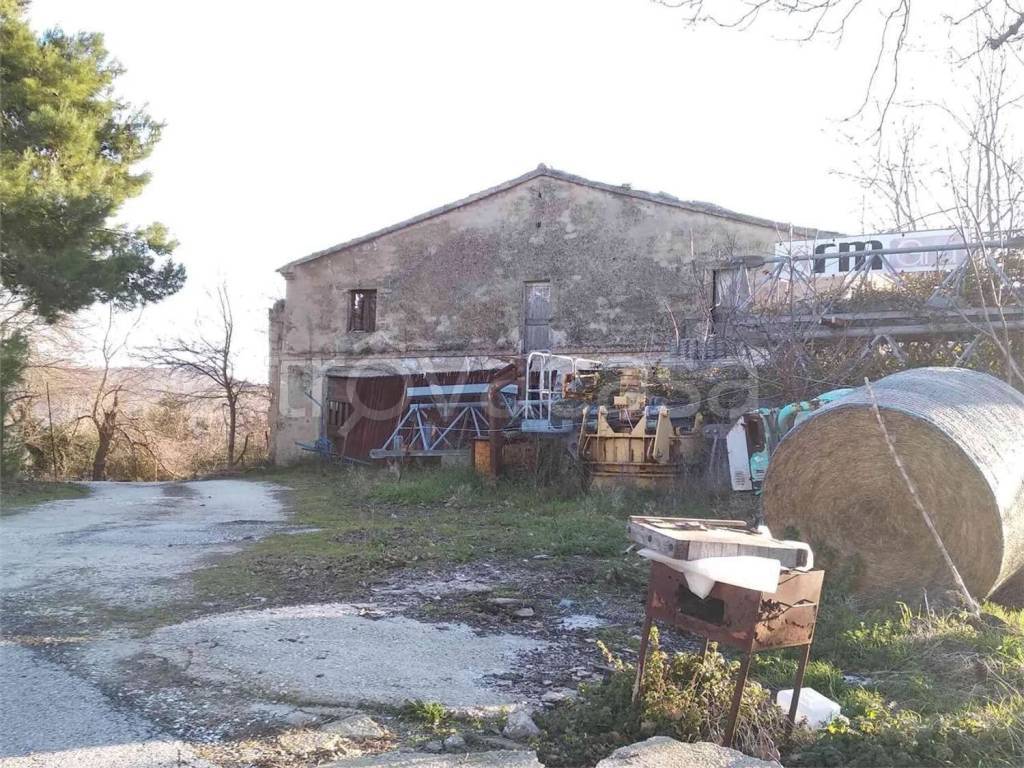 immagine annuncio 1 di 9