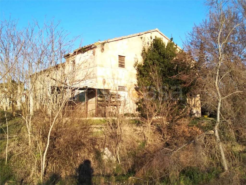 immagine annuncio 5 di 9