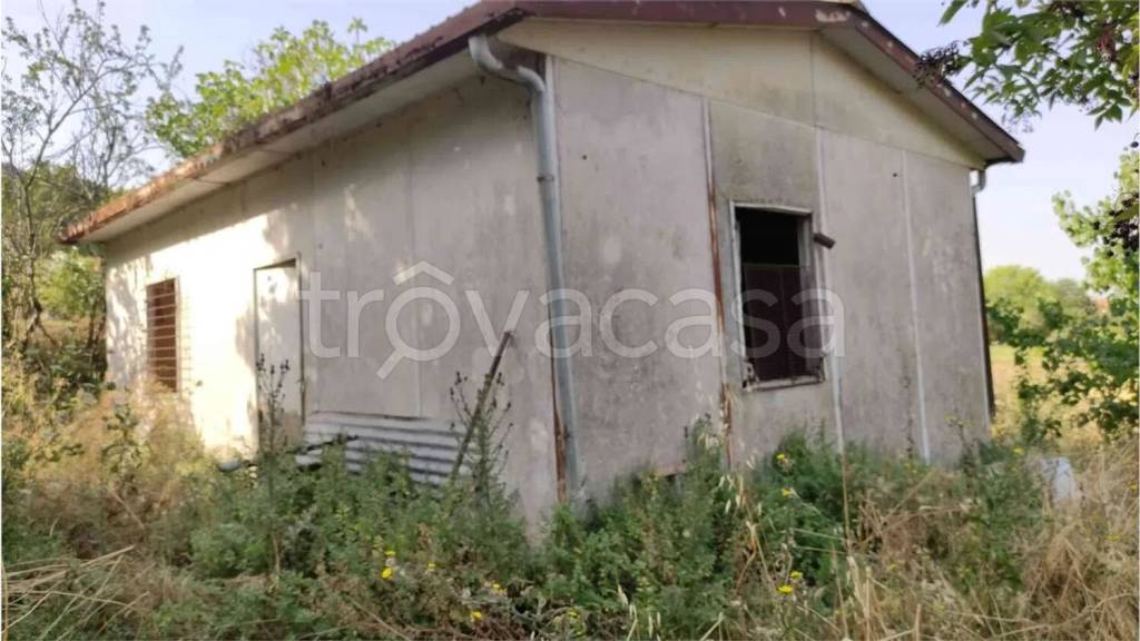 immagine annuncio 8 di 14