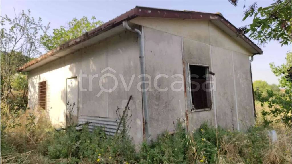 immagine annuncio 9 di 14