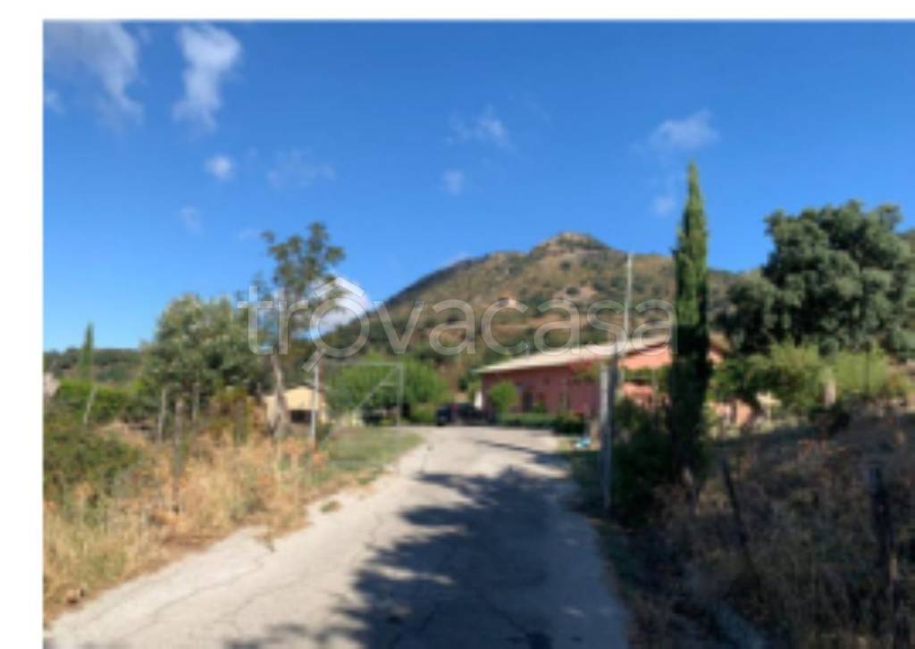 immagine annuncio 11 di 14