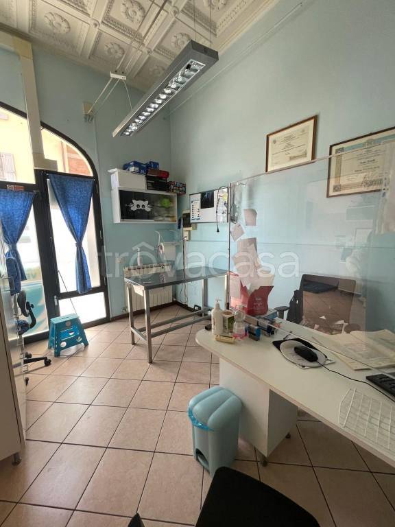 immagine annuncio 2 di 14