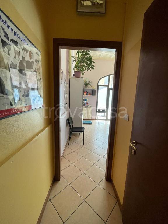 immagine annuncio 5 di 14