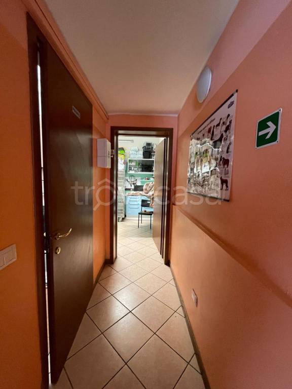 immagine annuncio 6 di 14