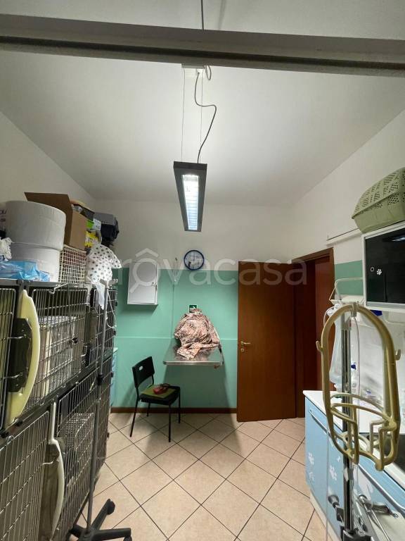 immagine annuncio 11 di 14