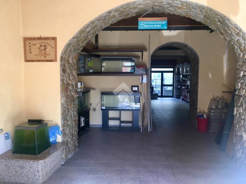 immagine annuncio 5 di 14