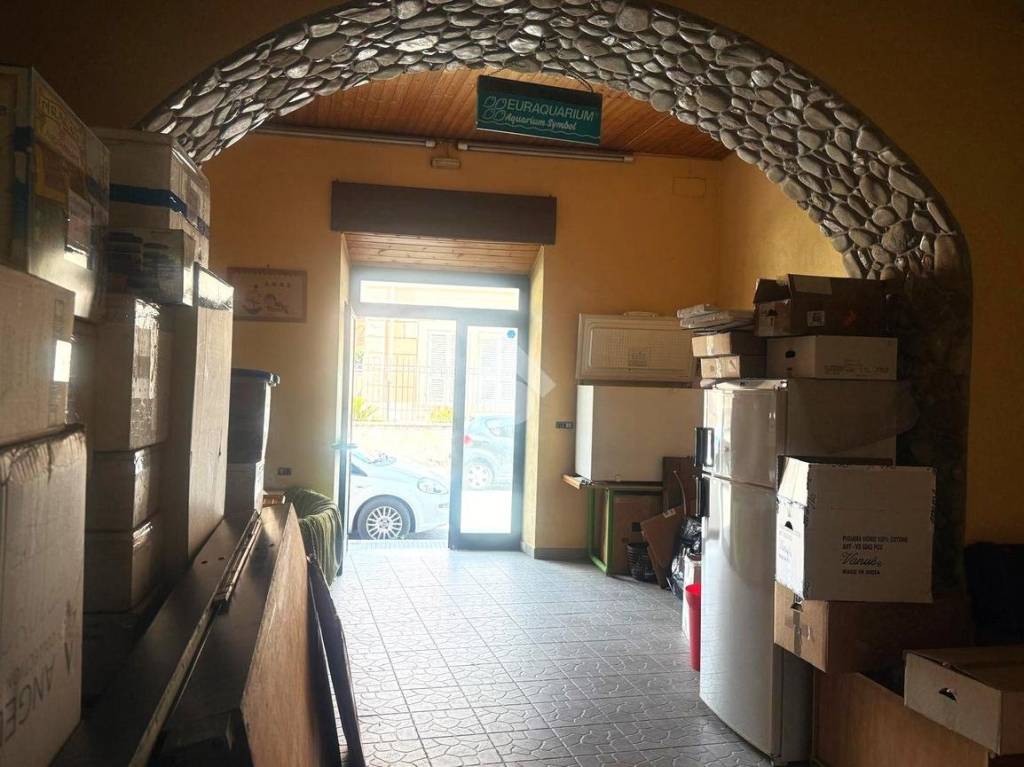 immagine annuncio 9 di 14